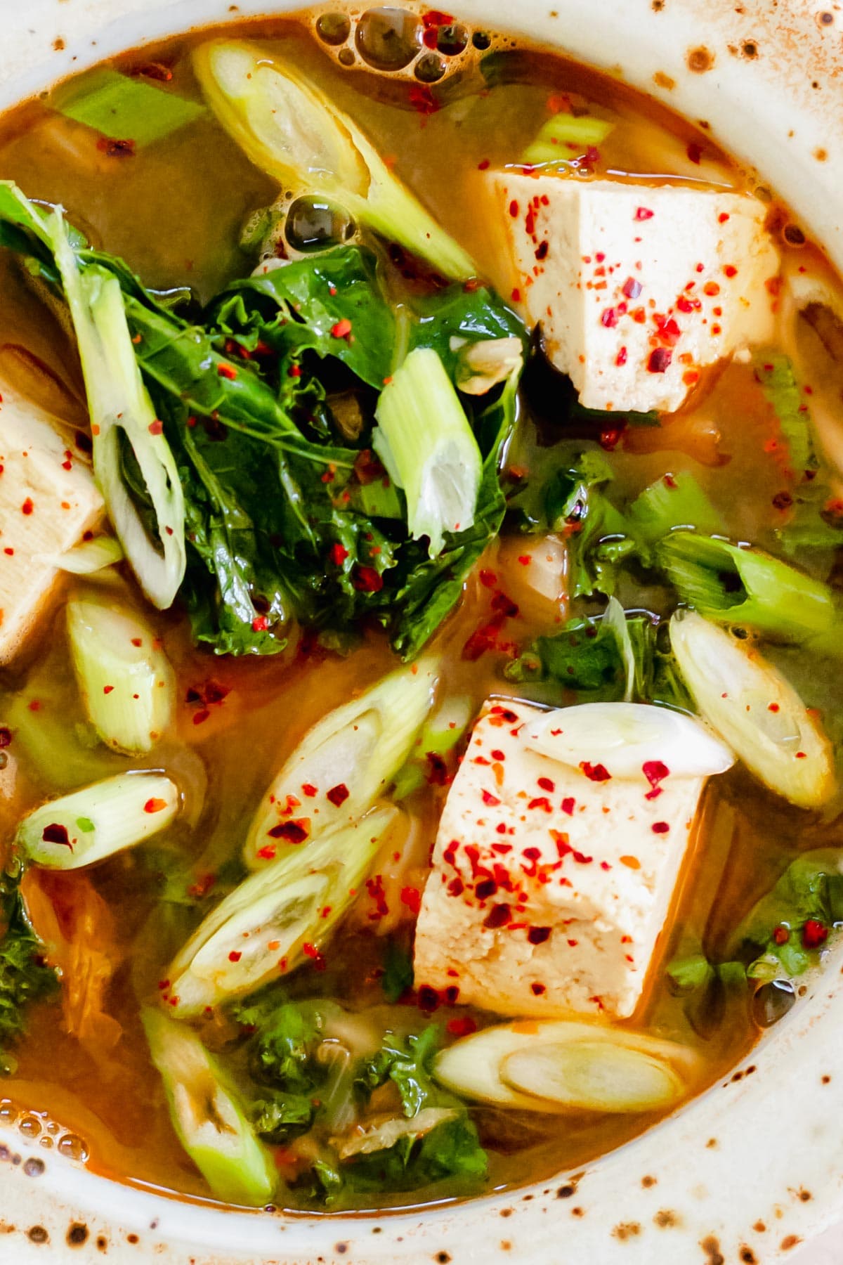 close up of tofu soup with kale and scallions