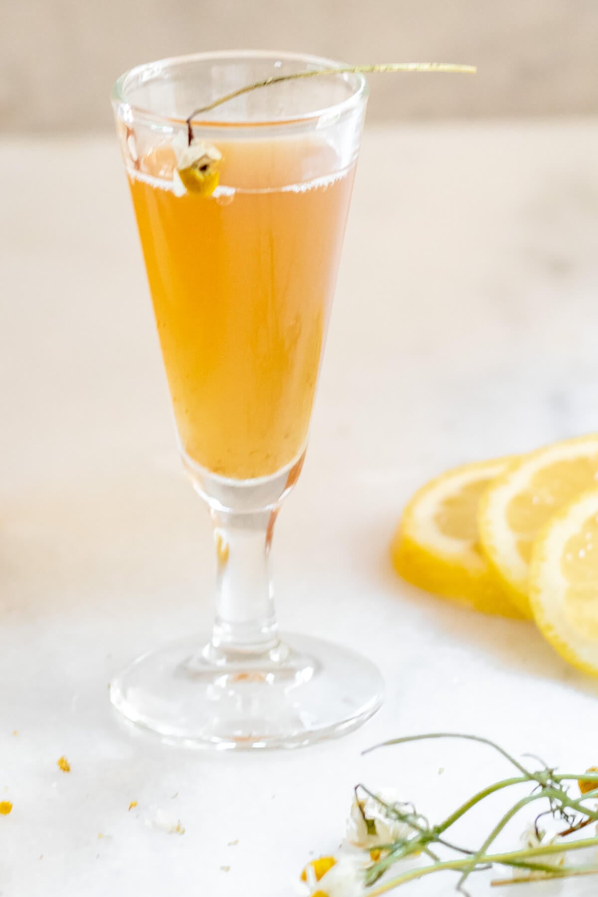 small cordial glass filled with coral rhubarb simple syrup on a white background