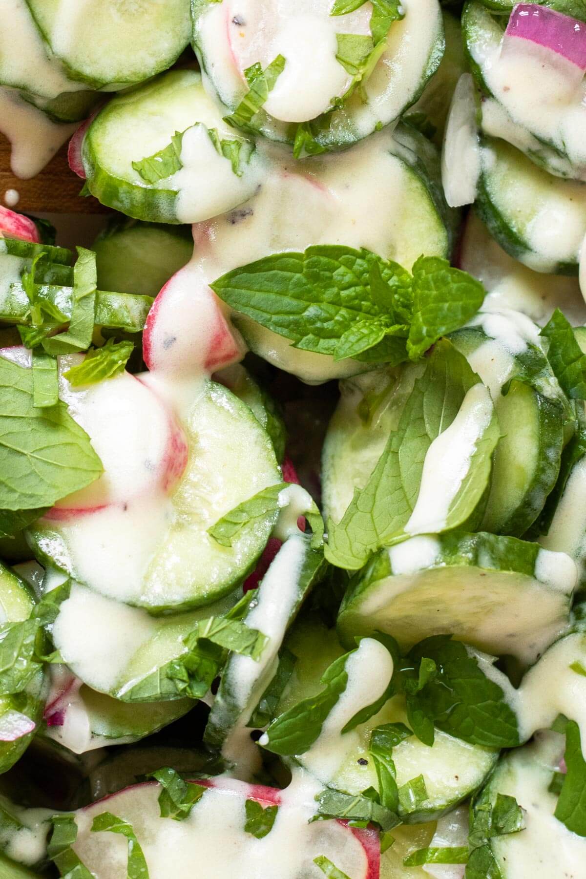 cucumber, mint, radish, and onion