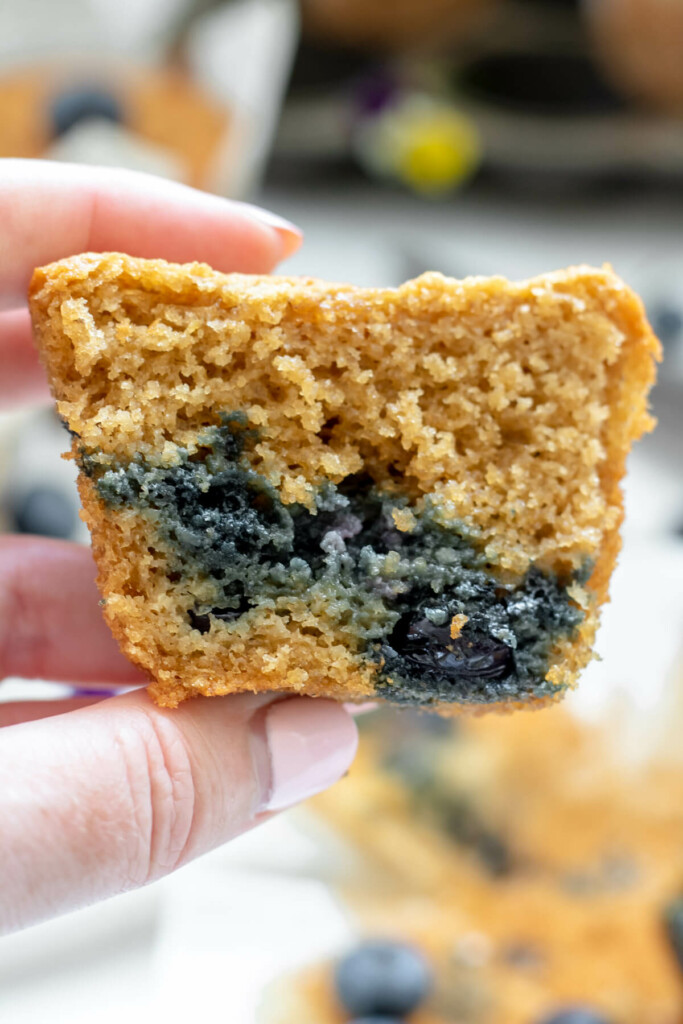a close up photograph of the fluffy moist interior of a gluten free blueberry muffin