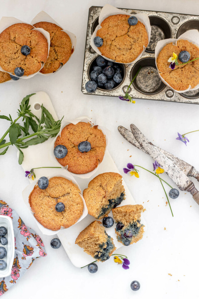 several gluten free blueberry muffins arranged photogenically on a white background with blueberries scattered about