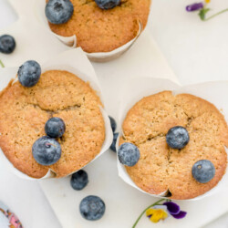 3 gluten free blueberry muffins on a white background