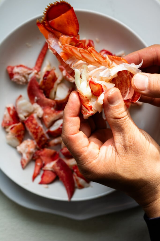 a hand pulling lobster meat from the shell