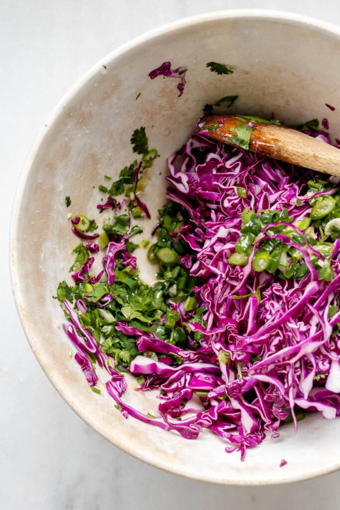 Ingredients for cabbage sauerkraut probiotic slaw in a large bowl.