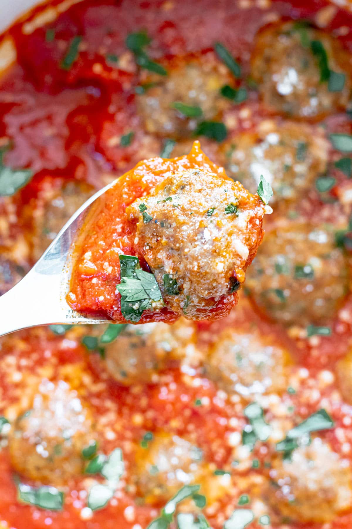 spoon holding a turkey meatball in tomato sauce