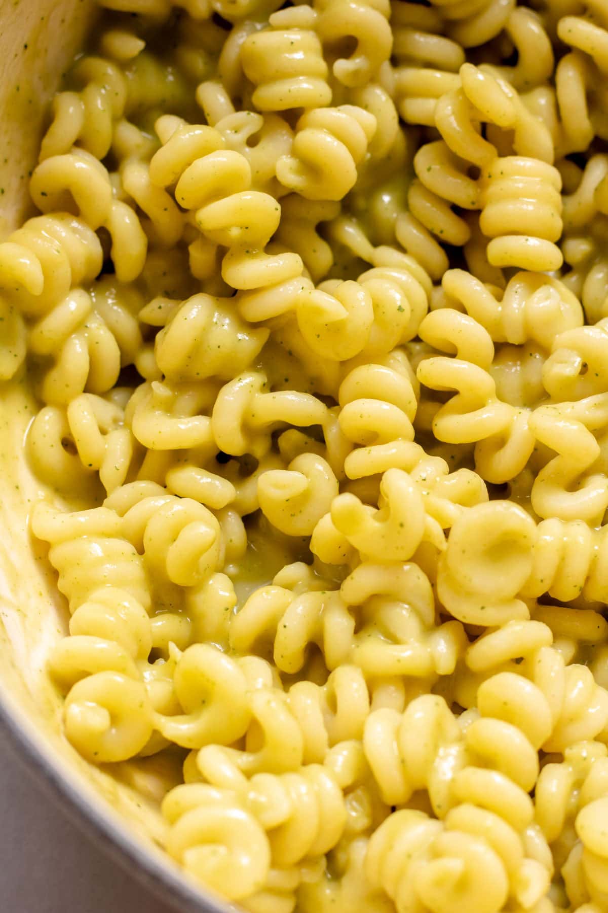 up close of twisty pasta with creamy zucchini sauce