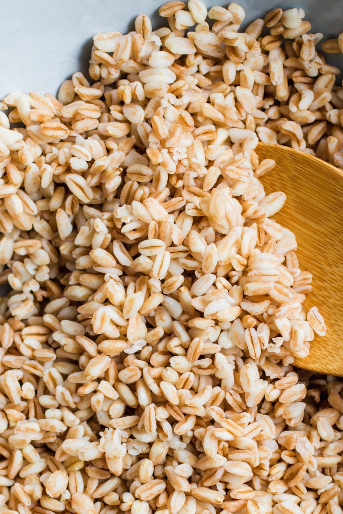 close up of cooked farro