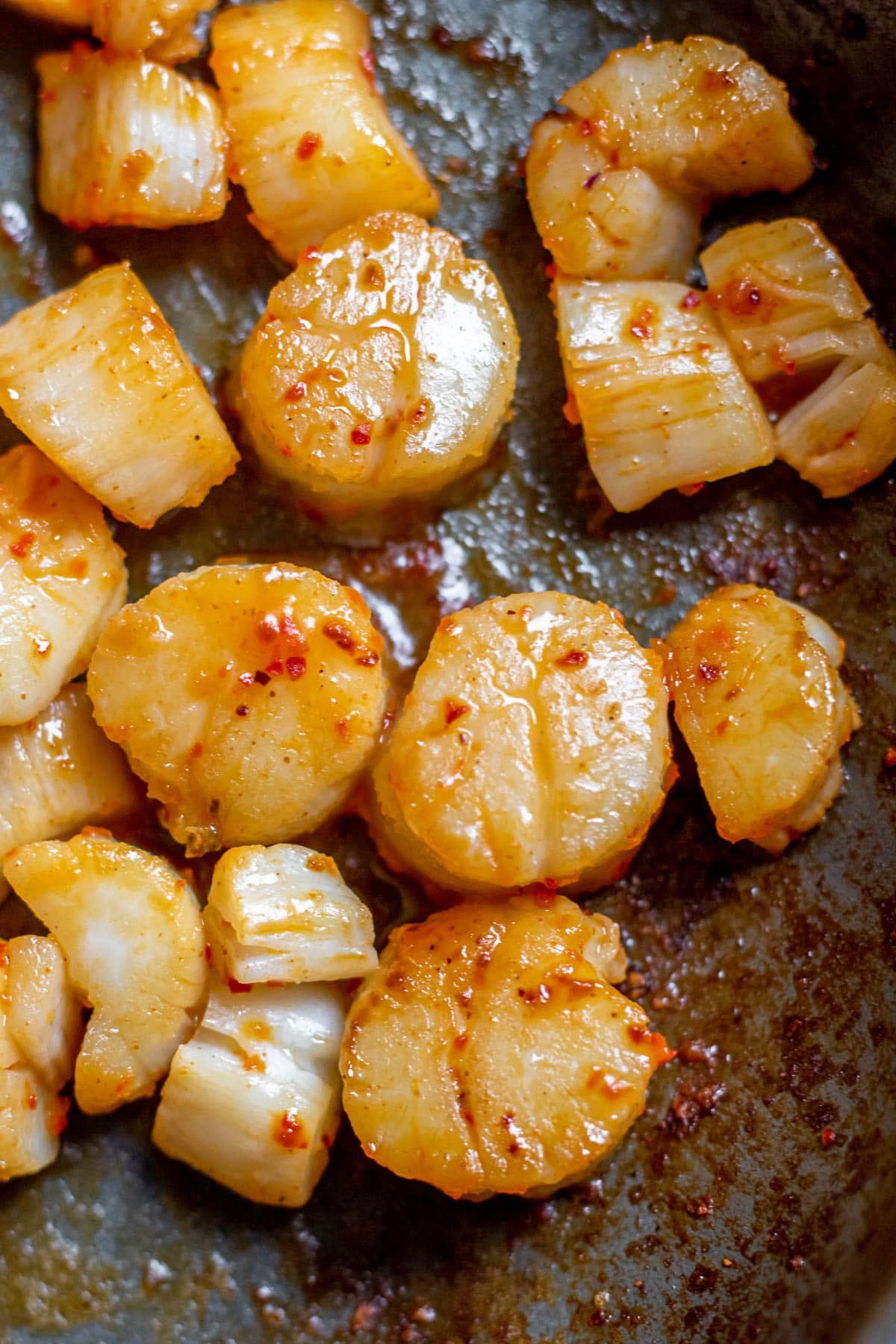 close up of seared scallops in a pan