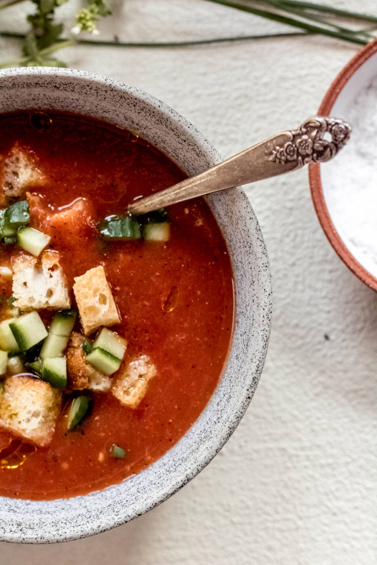 top down vies of gazpacho soup