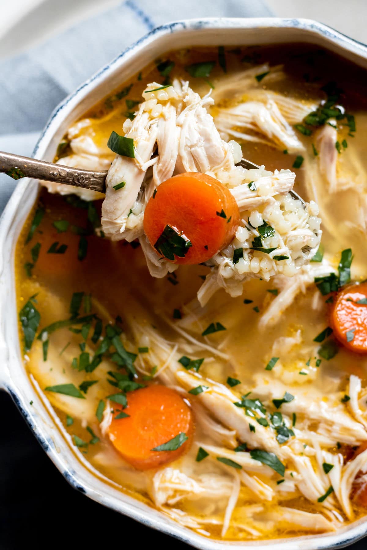 spoonful of chicken noodle soup
