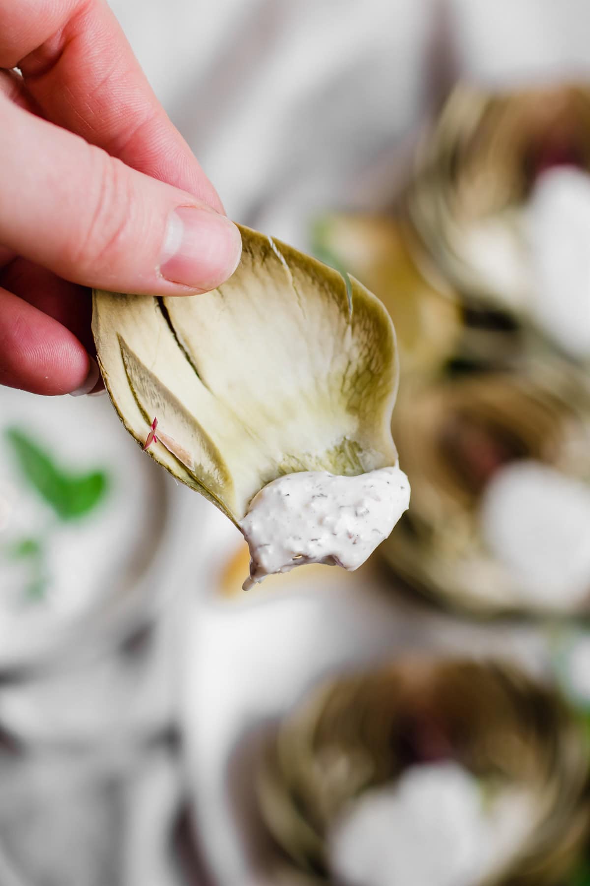 hand holding an artichoke leaf with dip on it