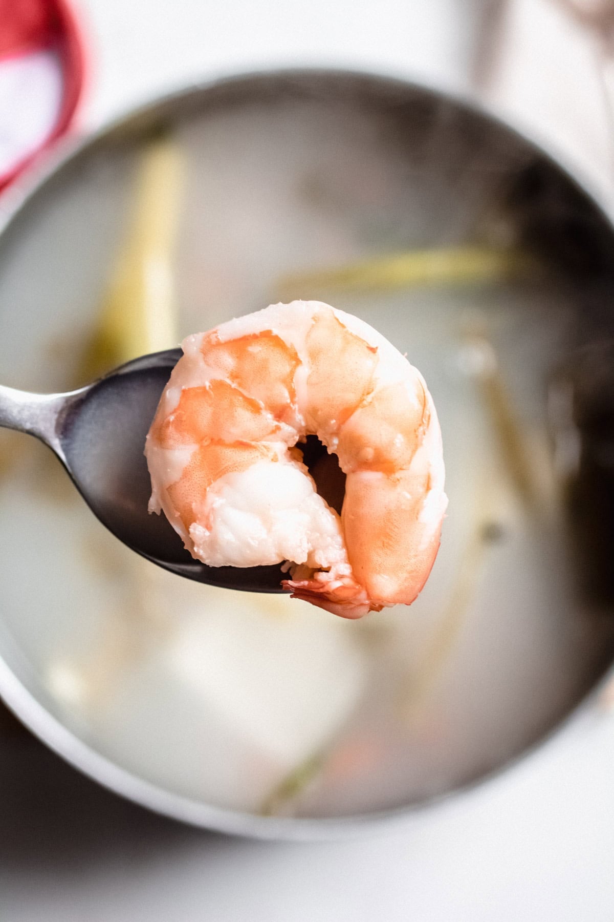 close up of a shrimp