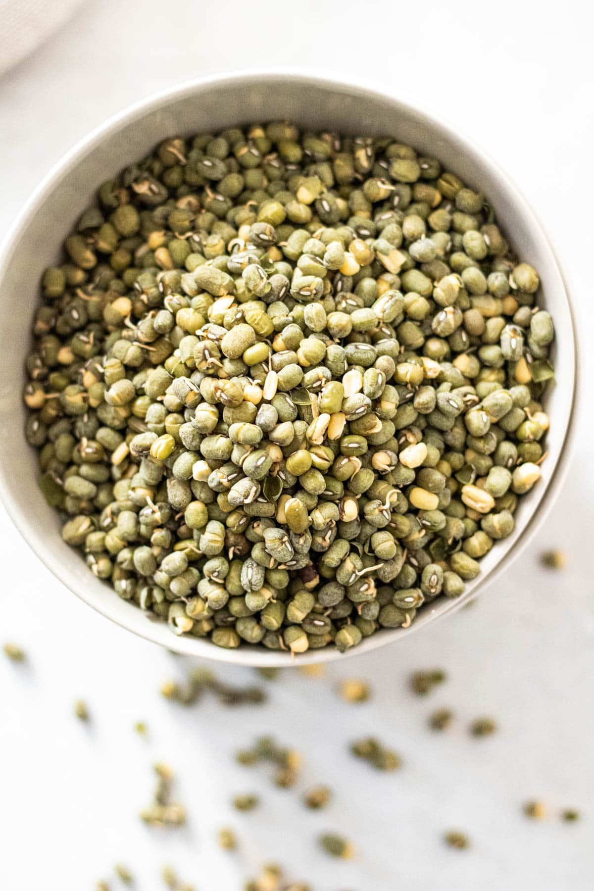 sprouted mung beans