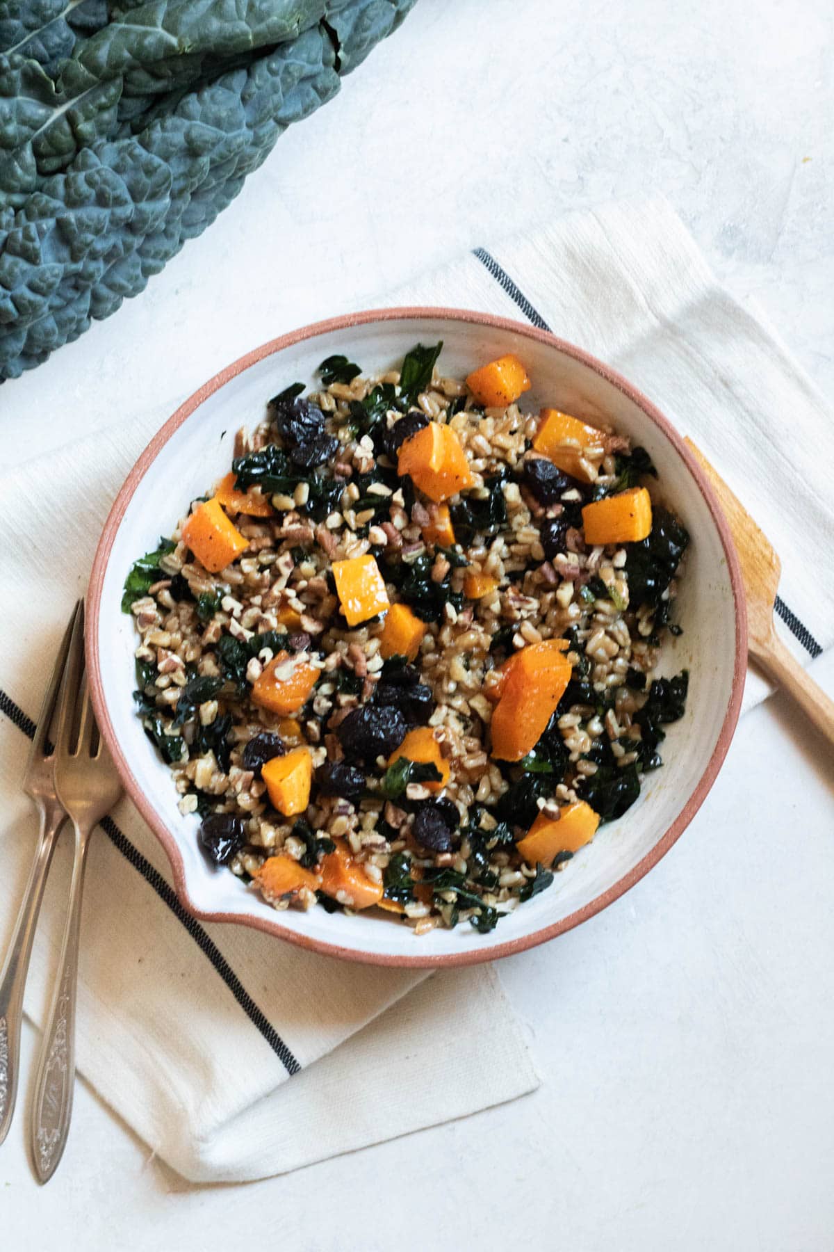 Roasted Butternut Squash and Kale Farro Salad with Dried Cherries, and Pecans