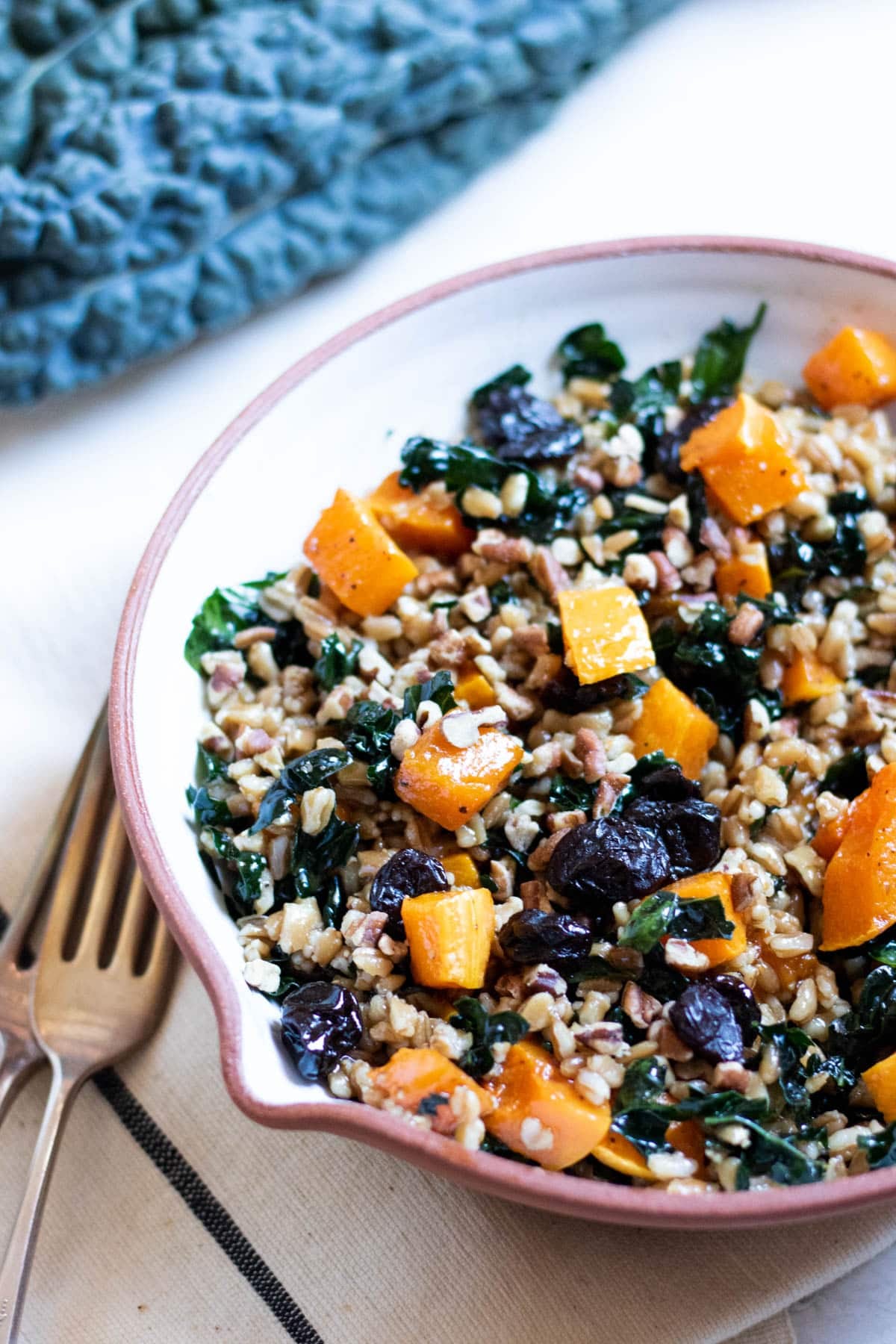 Roasted Butternut Squash and Kale Farro Salad in a bowl