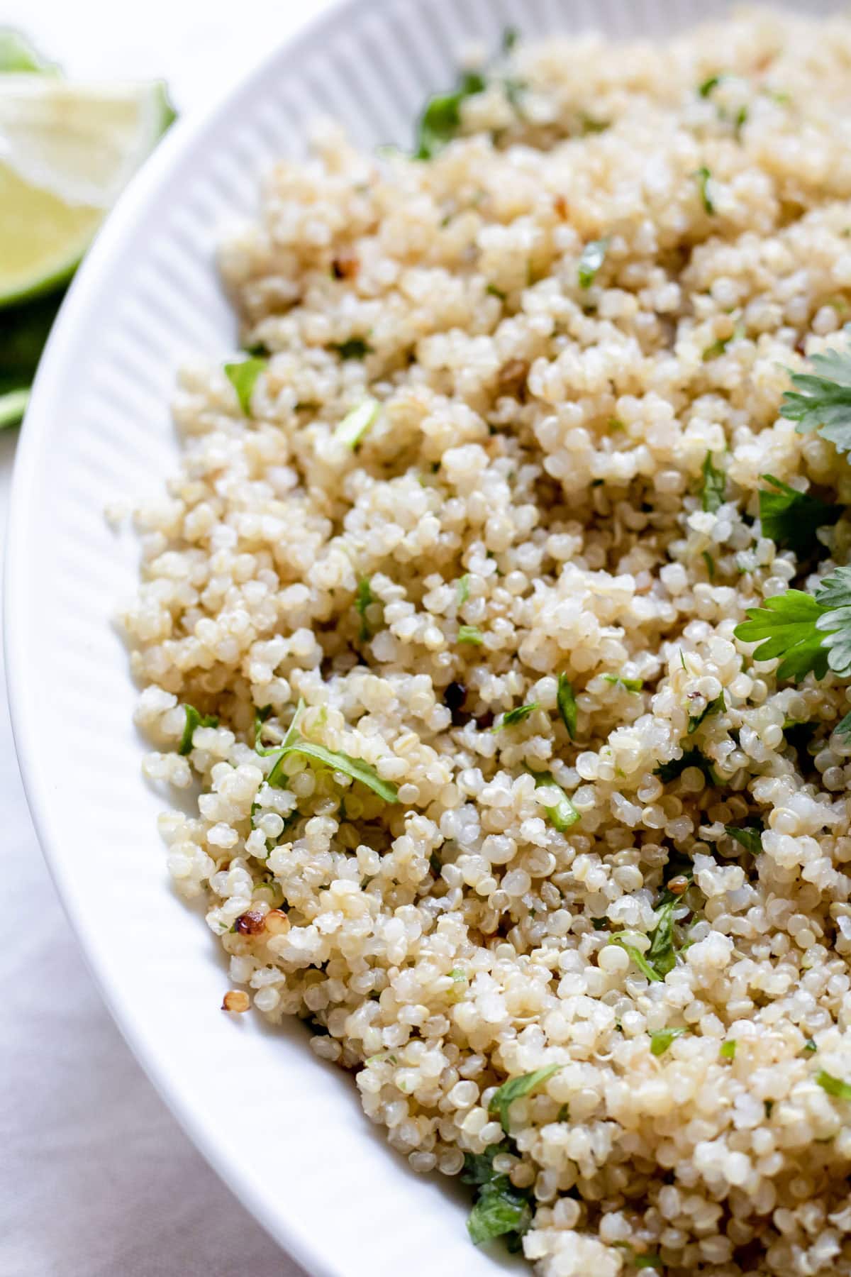 close up of quinoa