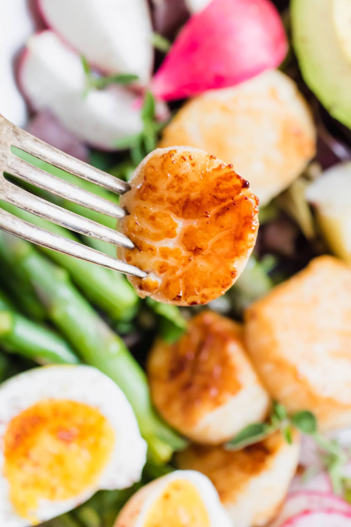 close up of roasted scallops