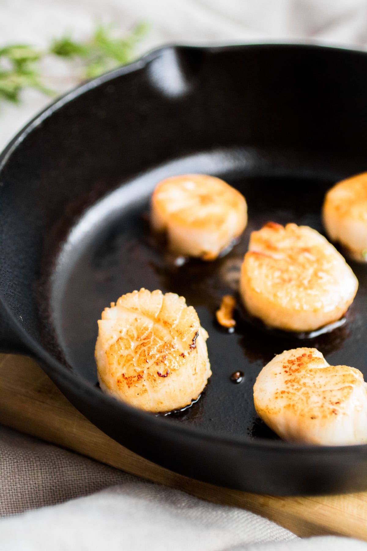 roasting scallops in a skillet