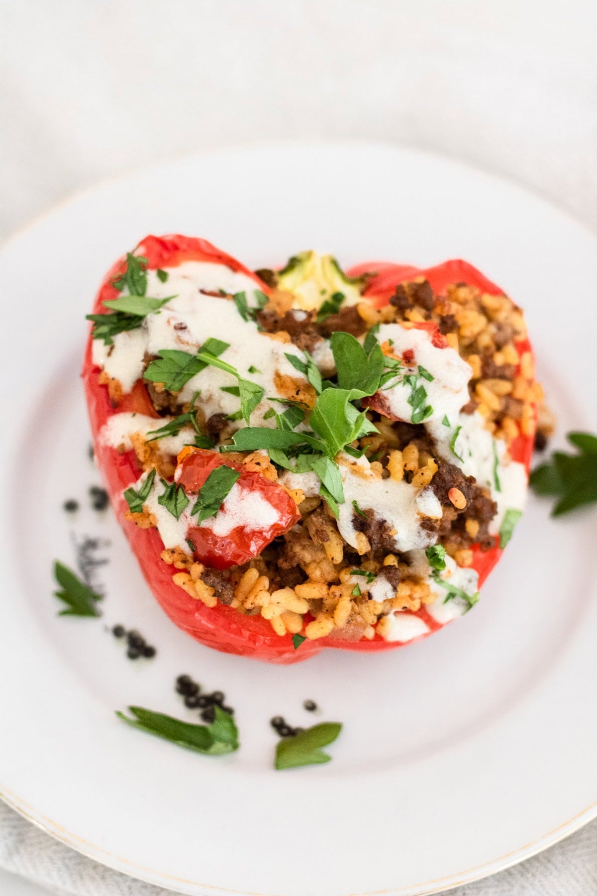 Shawarma Spiced Stuffed Pepper on a white plate