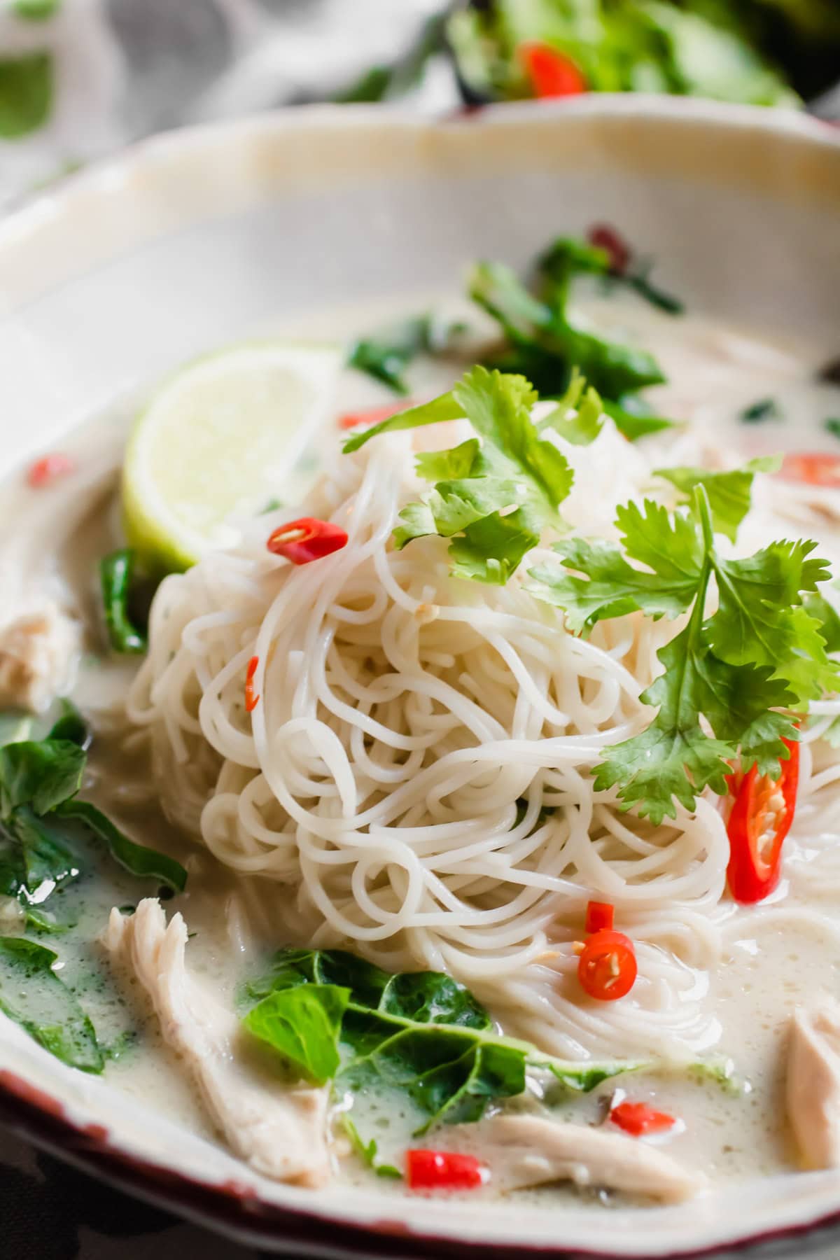 Instant Pot Thai Coconut Lime Chicken Soup with Noodles