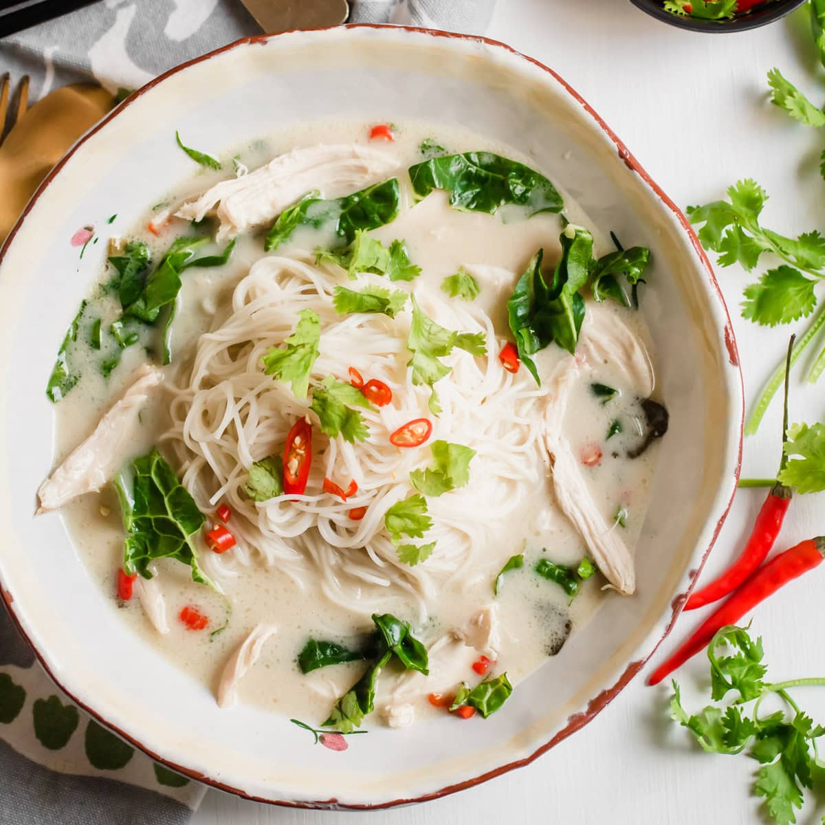 Instant Pot Chicken Soup with Noodles