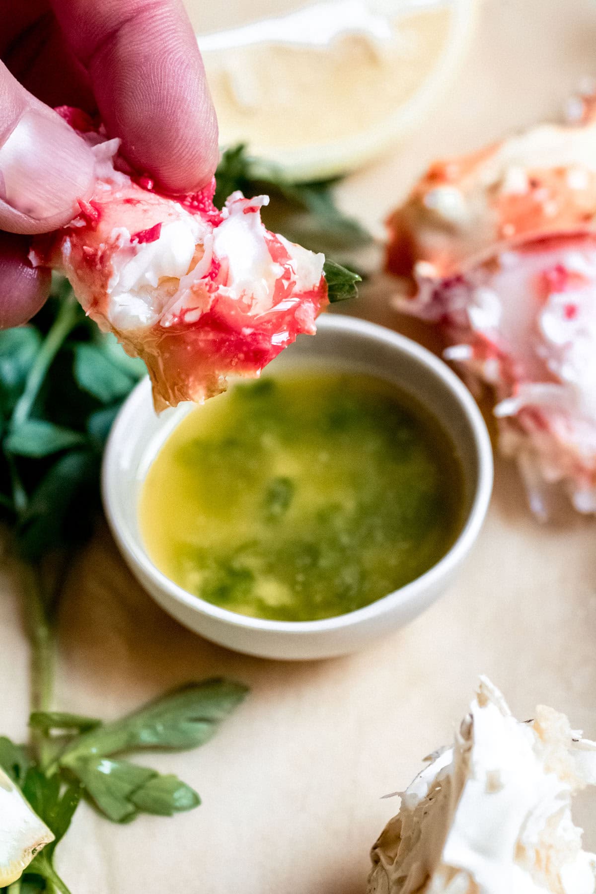 close up of Crab Leg