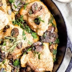 Pumpkin Parmesan Chicken