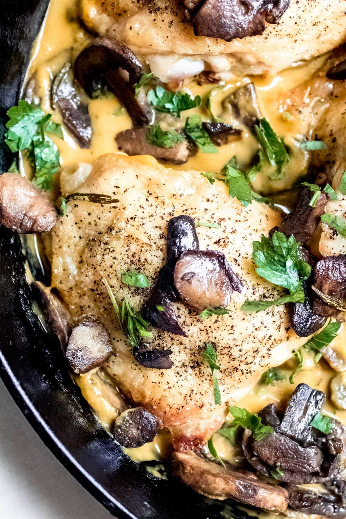 close up of Parmesan Chicken