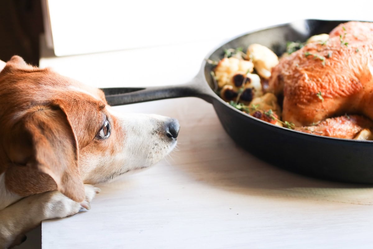 Easy Garlic Thyme Roast Chicken with Cauliflower