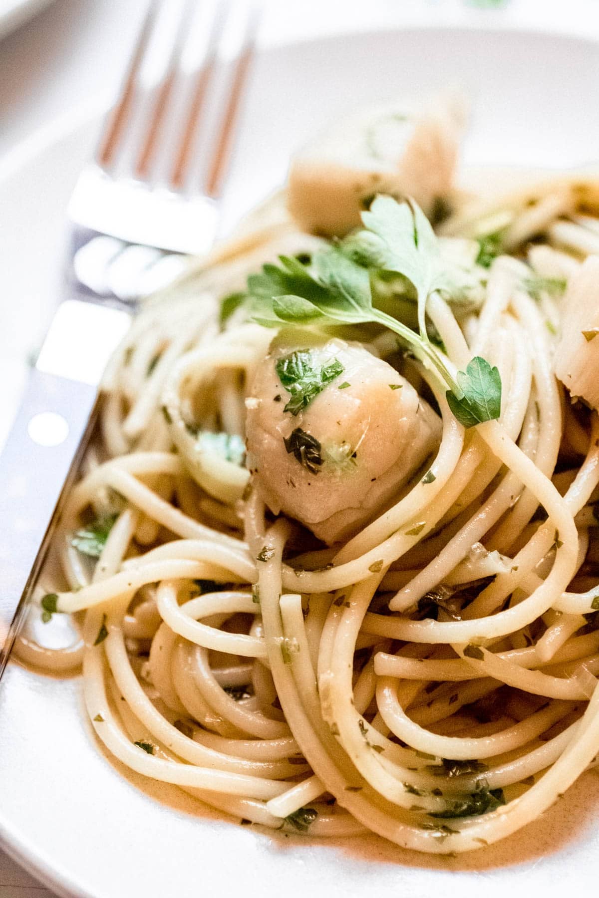 pasta on a plate