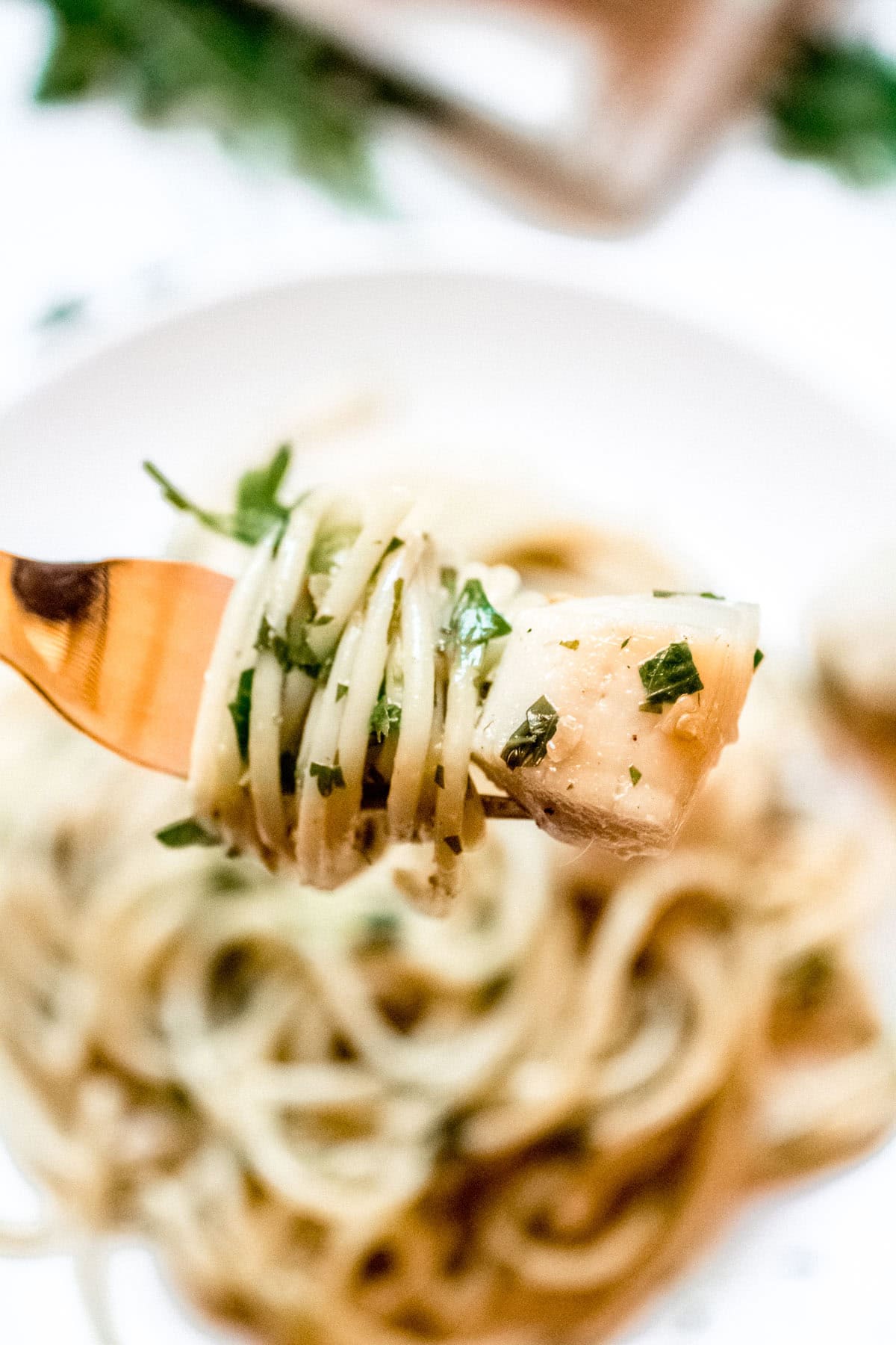 a forkful of pasta