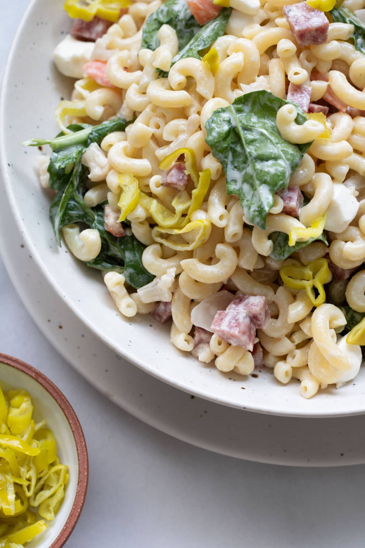 a big bowl of pasta salad