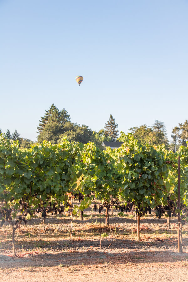 The best things to do in Sonoma Valley, California. From day trips to wineries, your guide to having the perfect Sonoma wine weekend!