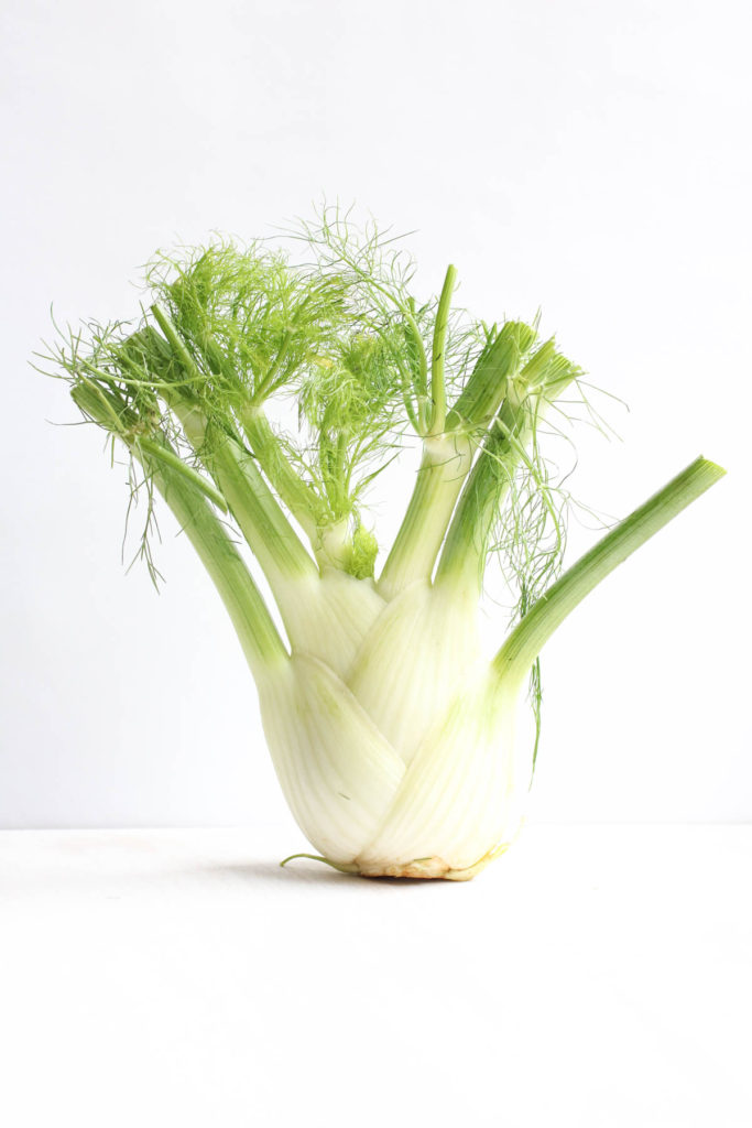 A simple delicious fennel simple syrup perfect for cocktails or a cucumber fennel mocktail! abraskitchen.com