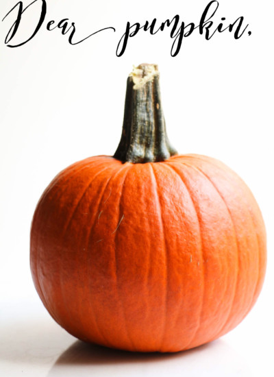 36 Healthy Pumpkin Recipes to celebrate the best season of the year, Fall! - Abra's Kitchen