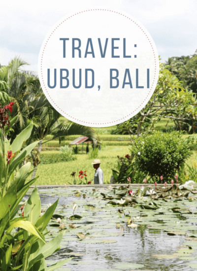 Top Ten Things To Do in Ubud, Bali For the Ultimate Wellness Retreat