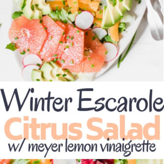 This winter escarole citrus salad is officially the star salad of the season! Featuring a variety of bright citrus like grapefruit, tangerine, and blood orange, fennel, radish, and creamy avocado. Lightly dressed with a robust and rich extra virgin olive oil Meyer lemon vinaigrette.